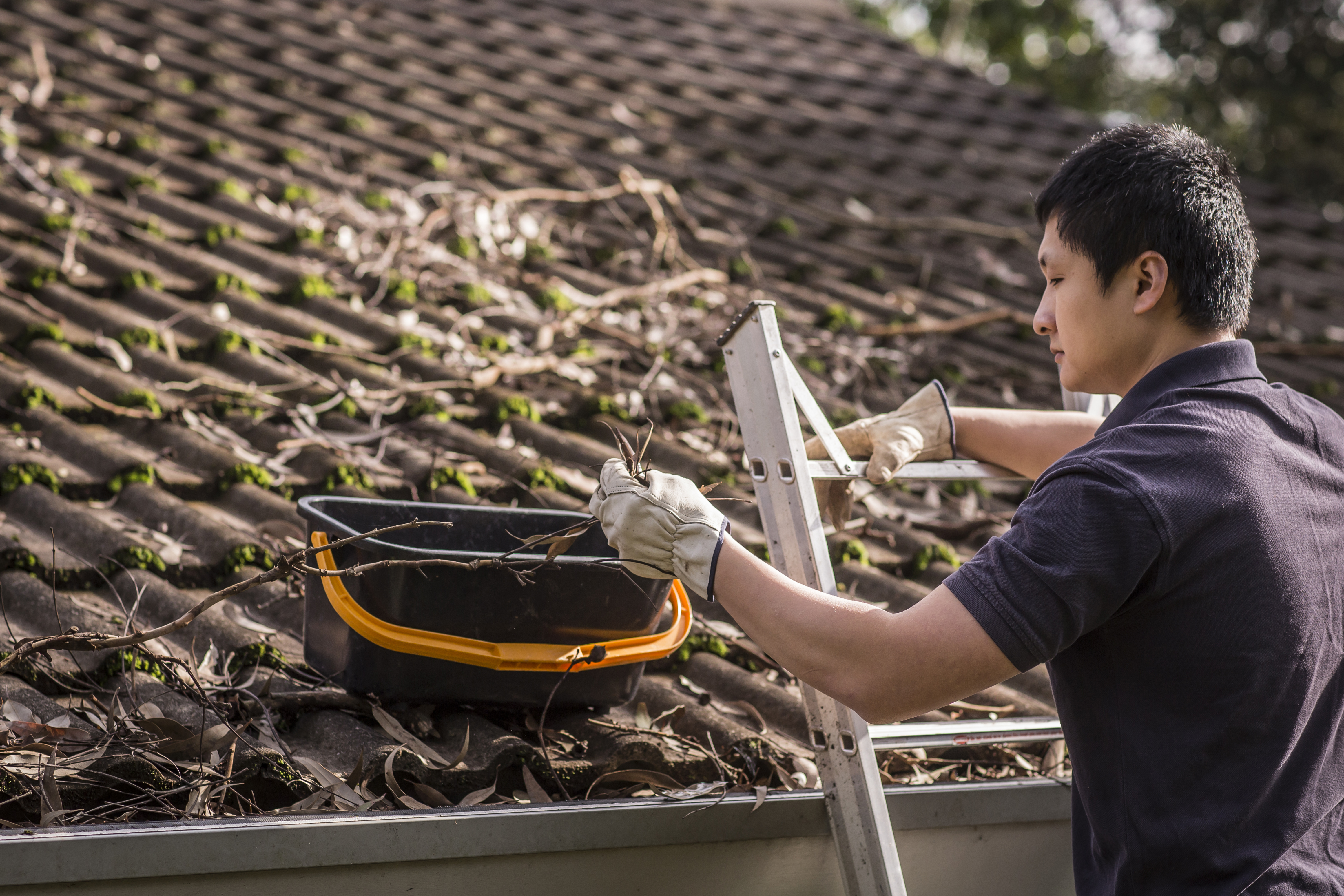 Bushfire Preparedness Main Image