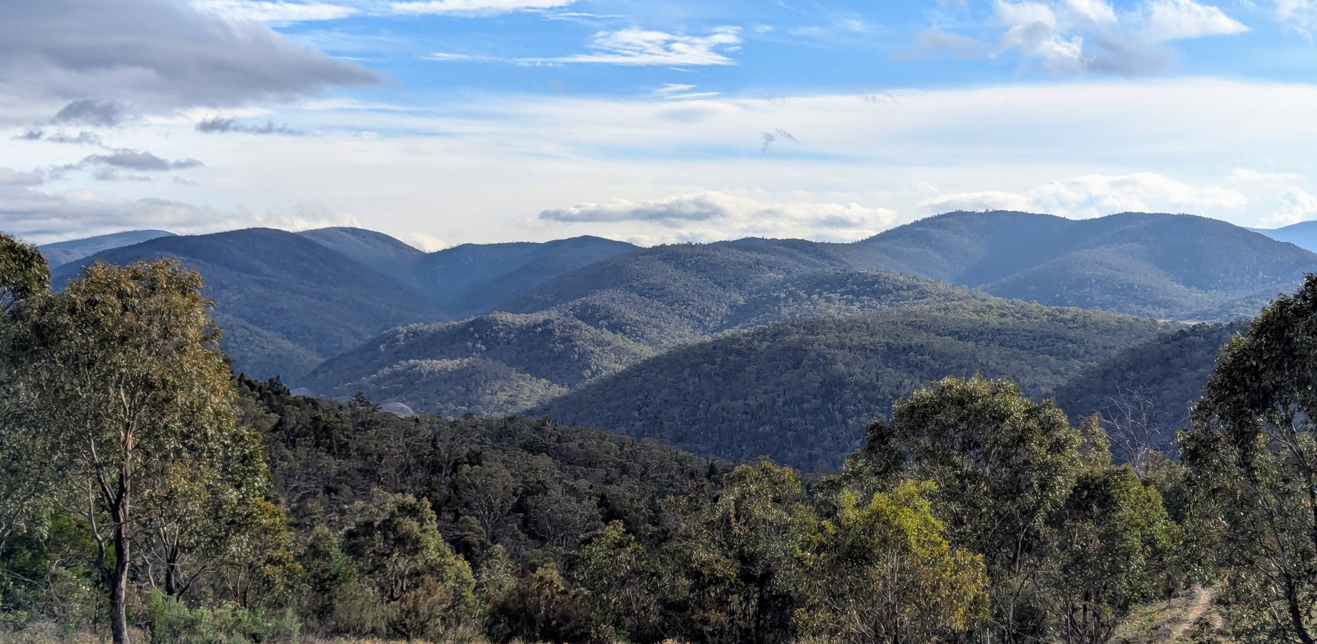 Repeal of the Kosciuszko Wild Horse Heritage Bill clears the way for real environmental restoration Main Image