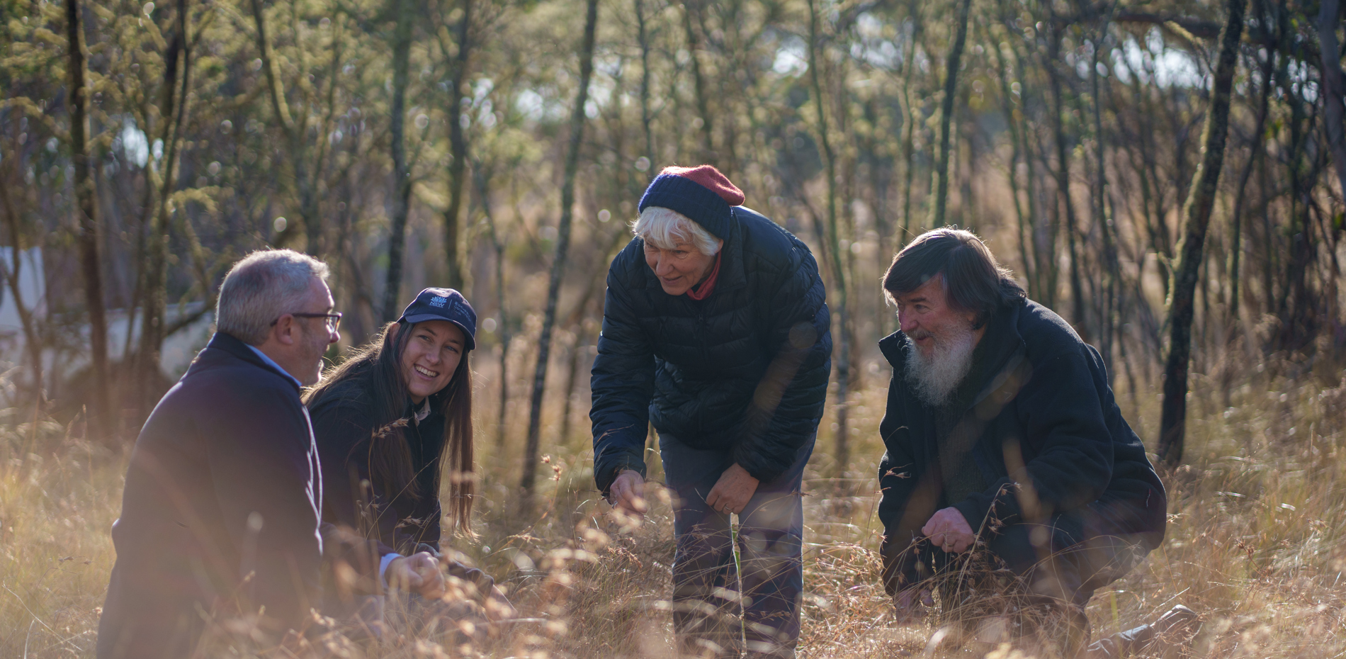Critically endangered snow gum woodlands and grasslands permanently protected   Main Image